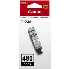 Картридж Canon PGI-480 PIXMA TS6140/8140/9140/TR7540/8540/TS6240/9540/8240/704/8340/6340Black