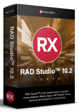 RAD Studio Professional Named User