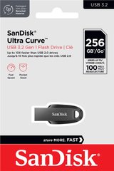 Накопитель SanDisk 256GB USB 3.2 Type-A Ultra Curve Black SDCZ550-256G-G46 photo